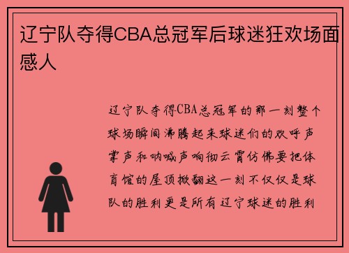 辽宁队夺得CBA总冠军后球迷狂欢场面感人