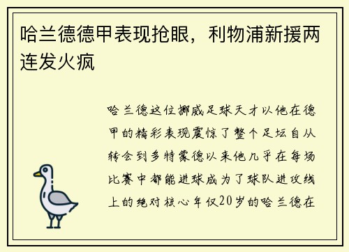 哈兰德德甲表现抢眼，利物浦新援两连发火疯